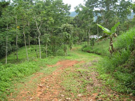 cheap property, near dominical, farm for sale, amazing deal, fire sale, platanillo, development opportunity, tourism, affordable lots, retirement, investment opportunity, close to San isidro, hot deal