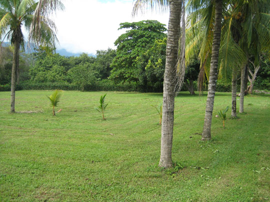 Uvita, walk to the beach, titled property, residential lot, commercial property, location, tourism, for sale, hotel, bed and breakfast, B&B, cabinas, rental income, investment opportunity, retirement, near town center, near bank, supermarket, airport