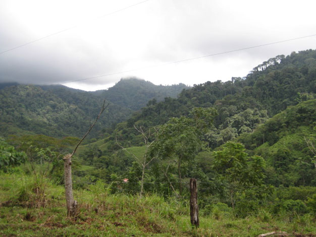 Quepos real estate, farm for sale, near quepos, Manuel Antonio, farms for sale, private, secluded, white water rafting, development opportunity, tourism, retirement opportunity, investment opportunity, ready develop, close to quepos, airport, country sett