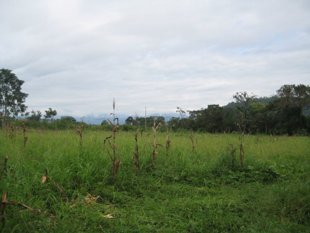 Commercial property in savegre, road to quepos, road to dominical, commercial lot, great location, commercial center, investment opportunity, emerging market, hotel, location, ready, on coastal highway, private residence