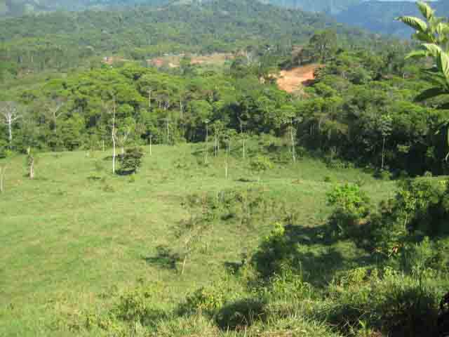 lot for sale, in Platanillo, platanillo real estate, dominical real estate, self sustaining, rolling hills, close to town, beaches, restaurants, super markets, Jungle, 