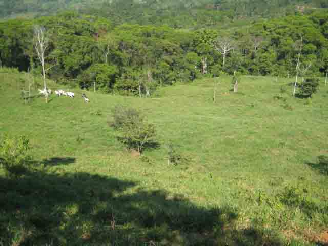 lot for sale, in Platanillo, platanillo real estate, dominical real estate, self sustaining, rolling hills, close to town, beaches, restaurants, super markets, Jungle, 