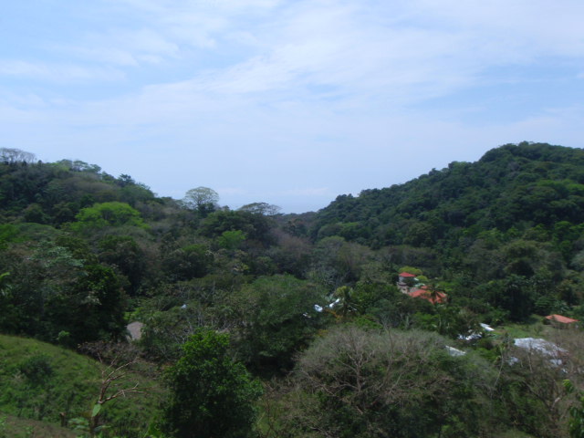 lot for sale, in Dominical, Dominical real estate, dominical real estate, self sustaining, rolling hills, close to town, beaches, restaurants, super markets, Jungle, 