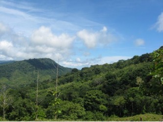 Lot for sale, in Lagunas, Lagunas real estate, sustainable development, dominical real estate, self sustaining, rolling hills, close to town, beaches, restaurants, super markets, Jungle, private Retirement, investment opportunity, waterfalls, Costa Rica