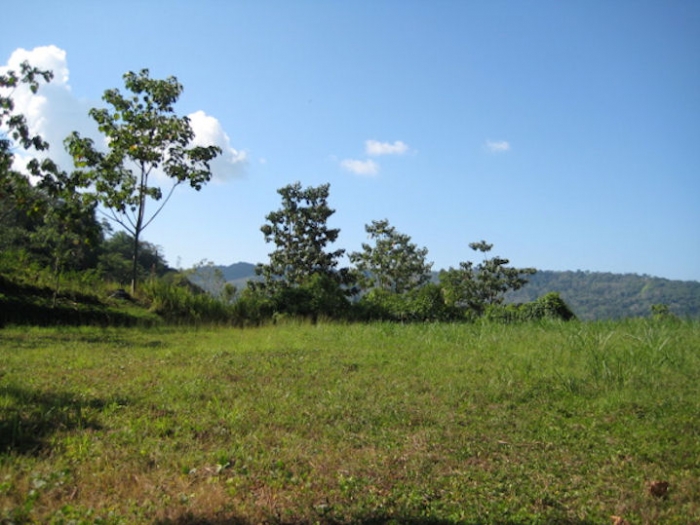 Dominical real estate, gated community, waterfall, community reserve, property in dominical, lots for sale, private, secure, Talapia, waterfall, property, ocean view, mountain and valley views, deal, great price, $89,900, investment, retirement