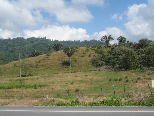 Commercial property, with ocean view, hotel, highway, frontage, costanera, hatillo, land for sale, dominical real estate, uvita real estate, hatillo real estate, residential lot, ocean view property, farm, close to the beach, investment property