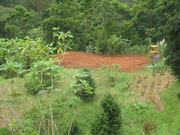 Dominical real estate, land for sale, lot for sale, house for sale, mountain property, secluded, remote, mountain retreat, farm, fruit orchard, community, finished building site