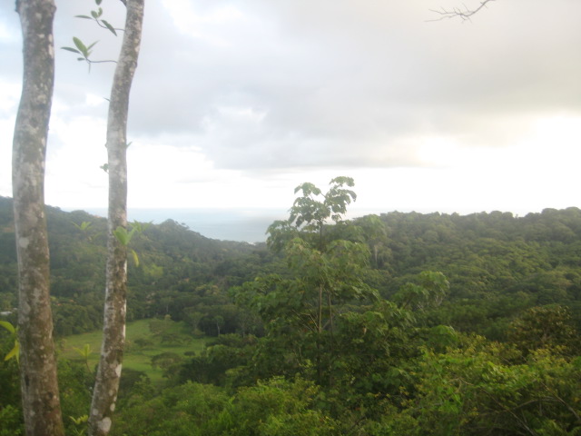 dominical real estate, ocean view lot, 5 minutes to dominical, ocean view lot, baru, dominical, playa, beach property, close to everything, easy access, property for sale in Dominical