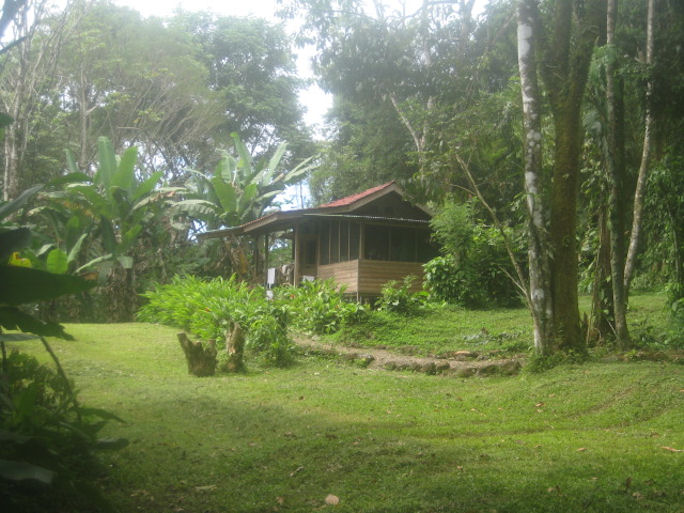 dominical cabin rental, long term rental, in dominical, cabinas for rent, cheap cabins, rental property, rental homes in dominical, gated farm, wild life, nature, secure rentals, partial ocean view 