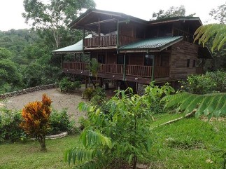 dominical cabin rental, long term rental, in dominical, cabinas for rent, cheap cabins, rental property, rental homes in dominical, gated farm, wild life, nature, secure rentals, partial ocean view 