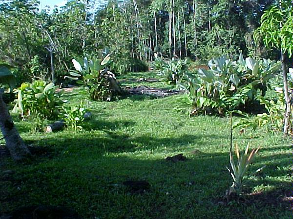 Ojochal real estate, 4 building sites for sale, mulitiple ocean view lots for sale, hatillo, near dominical, land for sale, easy access, close to the beach, close to dominical, dominical property for sale