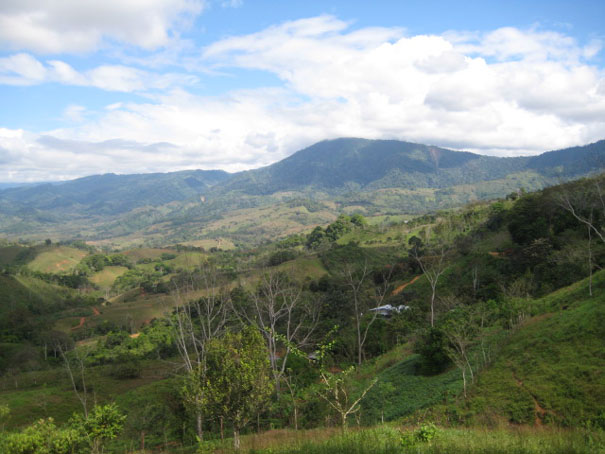 small farm , for sale, phase II, Platanillo, near dominical, close to San Isidro, Property for sale in Costa Rica, Property near Dominical, ocean view, retirement, Uvita Real Estate, profitable investment, paradise, mountain view, secure, private, Souther