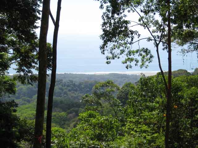 Sea view, jungle, Nature, paradise, value, investment opportunity, retirement opportunity, wildlife, reserve, nature, peaceful, safe, secure, private, Matapolo, Costa Rica, Southern coast, Golfito, Price, Southern Pacific, value, beach