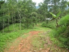 cheap property, near dominical, farm for sale, amazing deal, fire sale, platanillo, development opportunity, tourism, affordable lots, retirement, investment opportunity, close to San isidro, hot deal