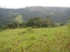 agriculture land, farm for development, away from it all, private, investment, land, farm for sale, large parcel, platanillo, villa bonita, pasture, cattle, views, waterfall, cascade, river, mountain, valley