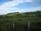 Farm for development , development parcel, land for development, near Dominical, platanillo, 147 hectares, 360 acres, huge farm, investment opportunity, planned community, affordable lots, rough roads, retirees, San Isidro, cooler climate.