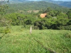 lot for sale, in Platanillo, platanillo real estate, dominical real estate, self sustaining, rolling hills, close to town, beaches, restaurants, super markets, Jungle, 