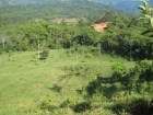 lot for sale, in Platanillo, platanillo real estate, dominical real estate, self sustaining, rolling hills, close to town, beaches, restaurants, super markets, Jungle, 
