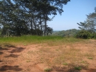 dominical real estate, hatillo property, close to dominical, ocean view, lot, white water view, jungle, nature, wild life, building site, retirement opportunity, investment opportunity, financing, Playa Hatillo