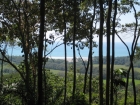 dominical real estate, hatillo property, close to dominical, ocean view, lot, white water view, jungle, nature, wild life, natural building sites, retirement opportunity, investment opportunity, family estate, financing, Playa Hatillo