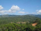 Lot for sale, in Platanillo, Platanillo real estate, dominical real estate, self sustaining, rolling hills, close to town, beaches, restaurants, super markets, Jungle, 