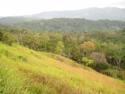 dominical real estate, farm for sale, platanillo, near dominical, commercial property, house for sale, on main road, 14 acres, close to San Isidro, 2 supermarkets, hotel property, residential lots, home sites, hills, mountain property