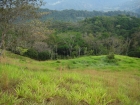 dominical real estate, farm for sale, platanillo, near dominical, commercial property, house for sale, on main road, 14 acres, close to San Isidro, 2 supermarkets, hotel property, residential lots, home sites, hills, mountain property