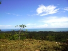 Uvita real estate, ocean view property, lot for sale, easy access, good raods, power, building site, water, views, ballena island, close to uvita, near uvita, near Domnical, near the beach, retirement, investment, opportunity