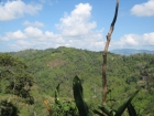 Dominical real estate, property in dominical, lots for sale, gated community, private, secure, Talapia, waterfall, property, ocean view, mountain and valley views, deal, great price, $119,900, investment, retirement