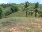 lot for sale, in Dominical, Dominical real estate,restaurants, super markets, Jungle, dominical real estate, self sustaining, rolling hills, close to town, beaches, restaurants, super markets, Jungle, 