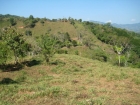 Plantanillo house for sale, farms for sale, dominical real estate, almost 10 acres, usable land, potential small development, 3 to 4 additional lots, creek, mountain and valley views, cool at night, views, back porch, simple design, family estate