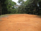 Dominical real estate, commercial property, residential property, platanillo, san isidro. Main road, frontage, for sale, investment, eco lodge, cabinas, apartments, estate property, location, 15 minutes to the beach, wooded, jungle, rain forest, creek