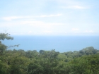 Dominical, real estate, development property, farm for sale, pre approved, plans, 58 rooms, restaurant, pool, resort, ocean views, investment property, private resort, ready to pull permits, plans ready, muni approved, turn key project