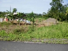 farm for sale, in Matapalo, Matapalo real estate, dominical real estate, self sustaining, rolling hills, close to town, beaches, restaurants, super markets, Jungle, private