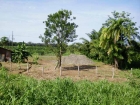 farm for sale, in Matapalo, Matapalo real estate, dominical real estate, self sustaining, rolling hills, close to town, beaches, restaurants, super markets, Jungle, private
