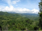 Lot for sale, in Lagunas, Lagunas real estate, sustainable development, dominical real estate, self sustaining, rolling hills, close to town, beaches, restaurants, super markets, Jungle, private Retirement, investment opportunity, waterfalls, Costa Rica