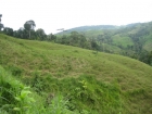private property, away from it all, farm for sale, land for sale, real estate, waterfall view, ocean view, mountain view, valley view, jungle view, pasture, cattle ranch, creek, river, suspension bridge, country road, retirement, expansive views