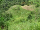 Dominical real estate, land for sale, lot for sale, house for sale, mountain property, secluded, remote, mountain retreat, farm, fruit orchard, community, finished building site