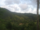 dominical real estate, ocean view lot, 5 minutes to dominical, ocean view lot, baru, dominical, playa, beach property, close to everything, easy access, property for sale in Dominical