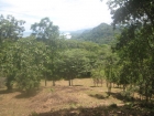 dominical real estate, commercial property, hotel property in dominical, estate proparty, farm in dominical, best views in dominical, usable land, development land, for sale, ocean view, close to road, easy access