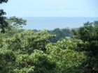 dominical real estate, 4 building sites for sale, mulitiple ocean view lots for sale, hatillo, near dominical, land for sale, easy access, close to the beach, close to dominical, dominical property for sale