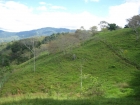 small farm, Land for sale, in Platanillo, retirement Dominical property, Uvita Real Estate, piece of paradise, baby boomer, Costa Rica, secure, Golf course, private, peaceful, great price, Matapolo, bargain property, waves, ocean, view, mountain, close to