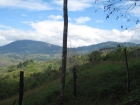 small farm for sale, Platanillo, near dominical, close to San Isidro, Property for sale in Costa Rica, Property near Dominical, ocean view, retirement, Uvita Real Estate, profitable investment, paradise, mountain view, secure, private, Southern coast, pro