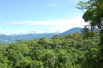Platanillo, near dominical, close to San Isidro, Property for sale in Costa Rica, Property near Dominical, ocean view, retirement, Uvita Real Estate, profitable investment, paradise, mountain view, secure, private, Southern coast, profit, value