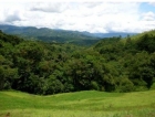  	Farm, San Isidro  property, for sale, cooler climate, property in San Isidro  , Property in Costa Rica, Retirement opportunity, close to the beach, Farm, secure, private, jungle, wildlife, mountain view, investment opportunity, San Isidro  Real Estate