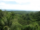 dominical real estate, mataplao house for sale, quepos real estate, ocean view home for sale, in costa rica, sunset views, wild life, private house for sale, close to the beach