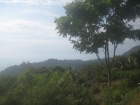 dominical real estate, ocean view property, building site with ocean view, escalare dominica, dominical lot for sale, ocean view lot, close to dominical, beach property, private community, expansive ocean view