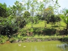 uvita real estate, 2 villas for sale, 5 acres of land, pond, extra building site, uvita real estate, uvite home for sale