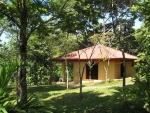 Ocean view house for sale in dominical, Lagunas, House for sale, value, investment opportunity, vacation rental, retire in costa Rica, baby boomer, reduced price, panoramic ocean view, pool, lap pool, fruit trees, huge property, large parcel, land, paradi